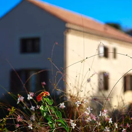 Elianthos Houses Hotel Heraklion (Crete)
